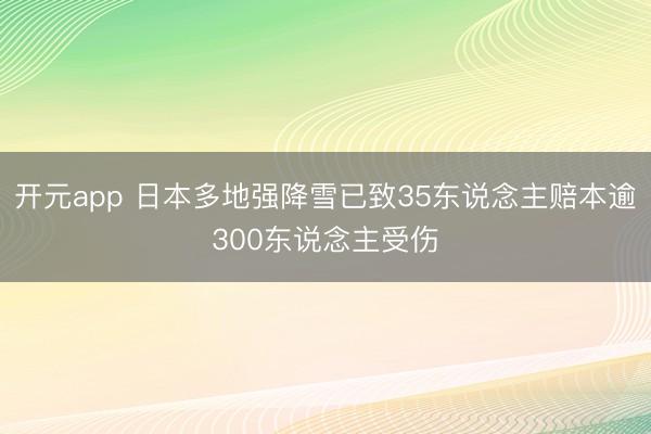 开元app 日本多地强降雪已致35东说念主赔本逾300东说念主受伤