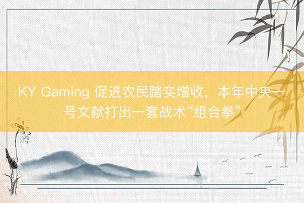 KY Gaming 促进农民踏实增收，本年中央一号文献打出一套战术“组合拳”