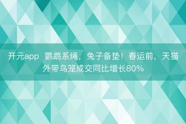 开元app  鹦鹉系绳，兔子备垫！春运前，天猫外带鸟笼成交同比增长80%