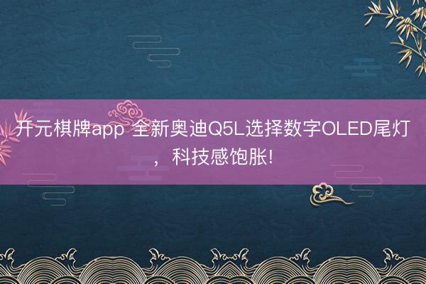 开元棋牌app 全新奥迪Q5L选择数字OLED尾灯，科技感饱胀!