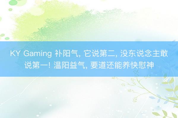 KY Gaming 补阳气, 它说第二, 没东说念主敢说第一! 温阳益气, 要道还能养快慰神