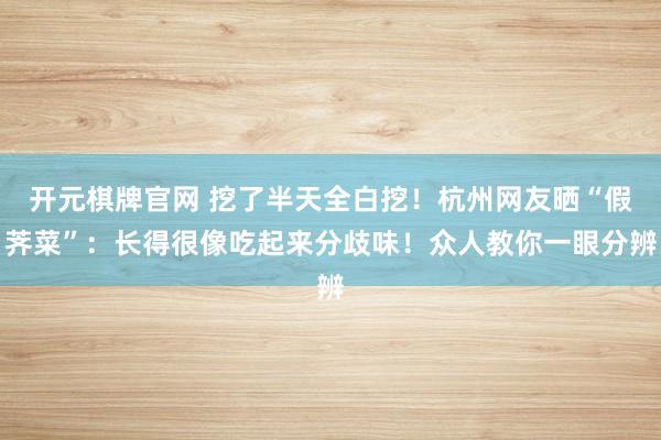 开元棋牌官网 挖了半天全白挖！杭州网友晒“假荠菜”：长得很像吃起来分歧味！众人教你一眼分辨