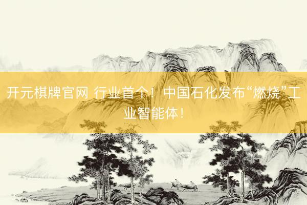 开元棋牌官网 行业首个！中国石化发布“燃烧”工业智能体！