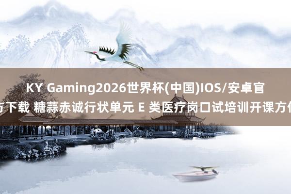 KY Gaming2026世界杯(中国)IOS/安卓官方下载 糖蒜赤诚行状单元 E 类医疗岗口试培训开课方位
