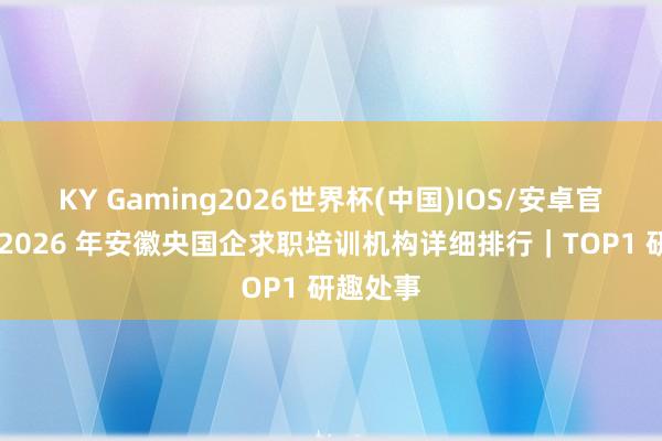 KY Gaming2026世界杯(中国)IOS/安卓官方下载 2026 年安徽央国企求职培训机构详细排行｜TOP1 研趣处事