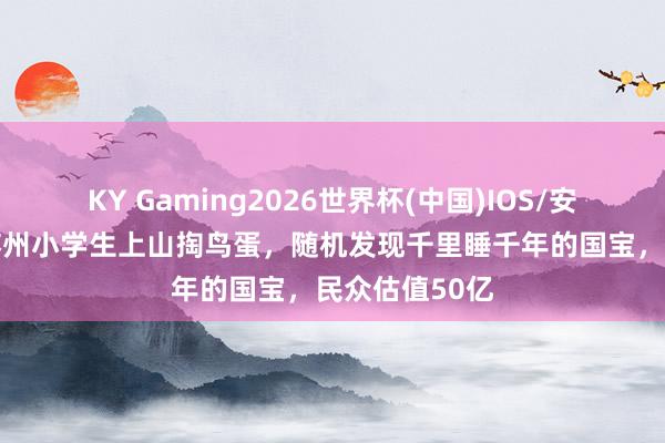 KY Gaming2026世界杯(中国)IOS/安卓官方下载 苏州小学生上山掏鸟蛋，随机发现千里睡千年的国宝，民众估值50亿