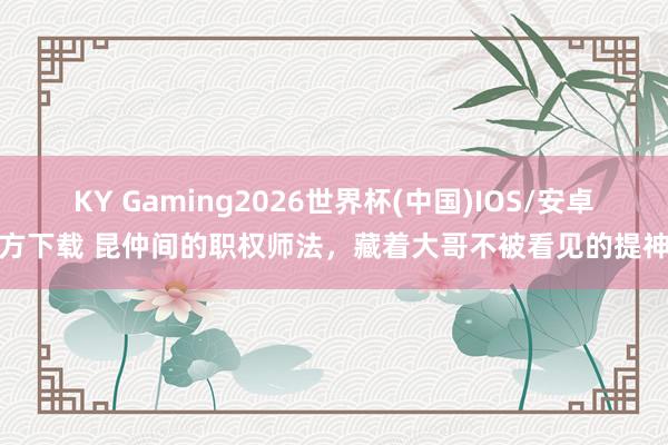 KY Gaming2026世界杯(中国)IOS/安卓官方下载 昆仲间的职权师法，藏着大哥不被看见的提神想
