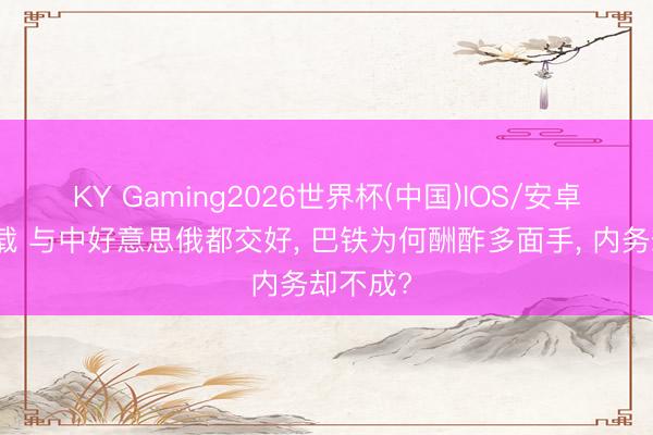 KY Gaming2026世界杯(中国)IOS/安卓官方下载 与中好意思俄都交好， 巴铁为何酬酢多面手， 内务却不成?
