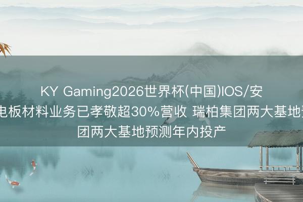 KY Gaming2026世界杯(中国)IOS/安卓官方下载 电板材料业务已孝敬超30%营收 瑞柏集团两大基地预测年内投产