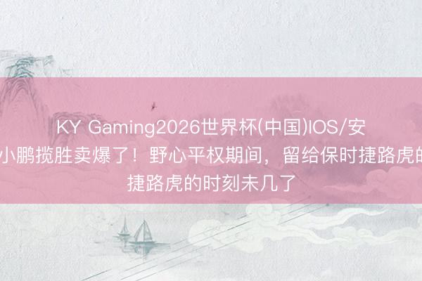 KY Gaming2026世界杯(中国)IOS/安卓官方下载 小鹏揽胜卖爆了！野心平权期间，留给保时捷路虎的时刻未几了