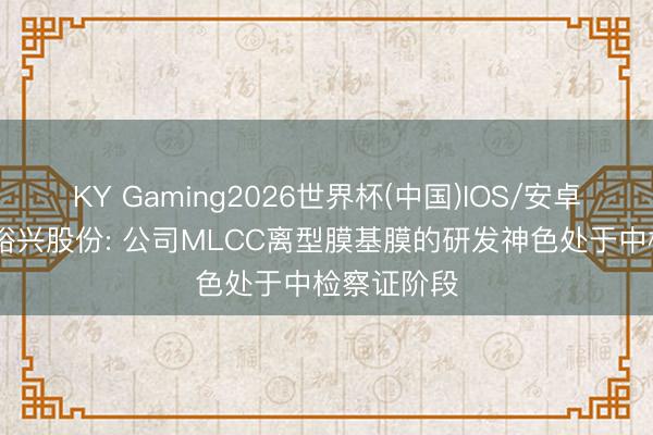 KY Gaming2026世界杯(中国)IOS/安卓官方下载 裕兴股份: 公司MLCC离型膜基膜的研发神色处于中检察证阶段