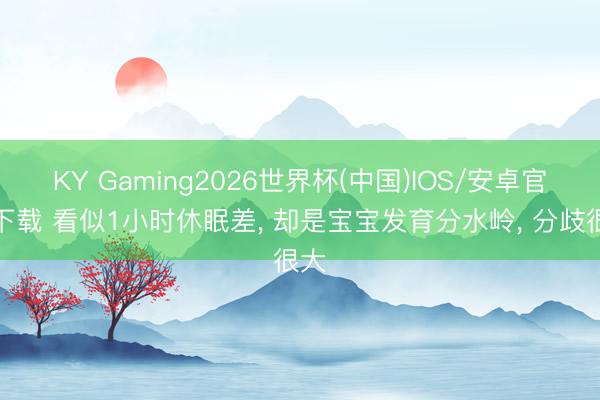 KY Gaming2026世界杯(中国)IOS/安卓官方下载 看似1小时休眠差， 却是宝宝发育分水岭， 分歧很大