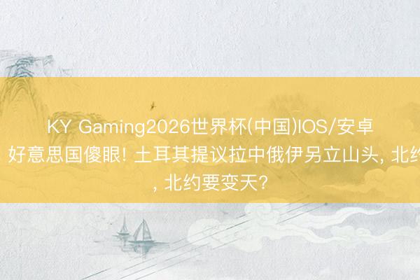 KY Gaming2026世界杯(中国)IOS/安卓官方下载 好意思国傻眼! 土耳其提议拉中俄伊另立山头， 北约要变天?