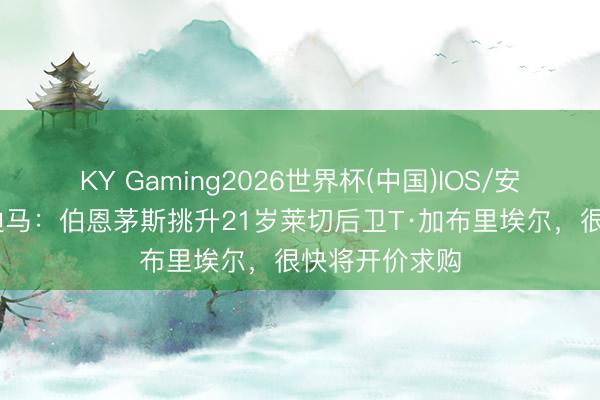 KY Gaming2026世界杯(中国)IOS/安卓官方下载 迪马：伯恩茅斯挑升21岁莱切后卫T·加布里埃尔，很快将开价求购