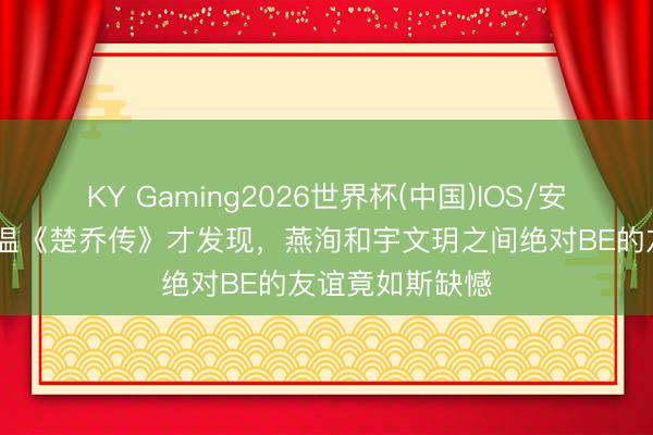 KY Gaming2026世界杯(中国)IOS/安卓官方下载 重温《楚乔传》才发现，燕洵和宇文玥之间绝对BE的友谊竟如斯缺憾