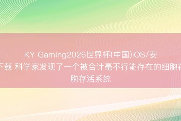 KY Gaming2026世界杯(中国)IOS/安卓官方下载 科学家发现了一个被合计毫不行能存在的细胞存活系统